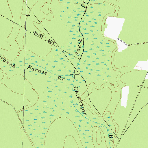 Topographic Map of Chinkapin Branch, NC