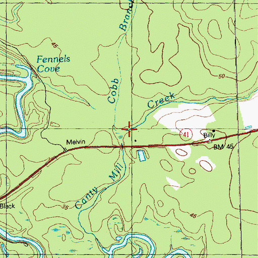 Topographic Map of Cobb Branch, NC