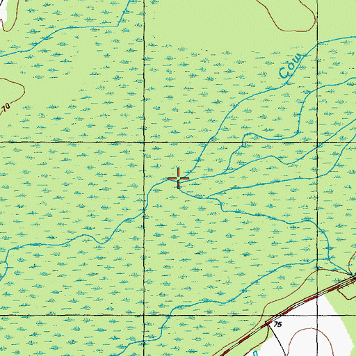 Topographic Map of Cow Branch, NC