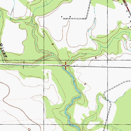 Topographic Map of Cowhorn Swamp, NC