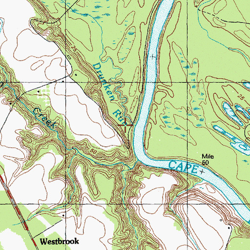 Topographic Map of Drunken Run, NC