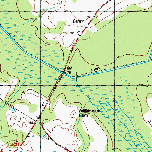 Topographic Map of Dunn Swamp, NC