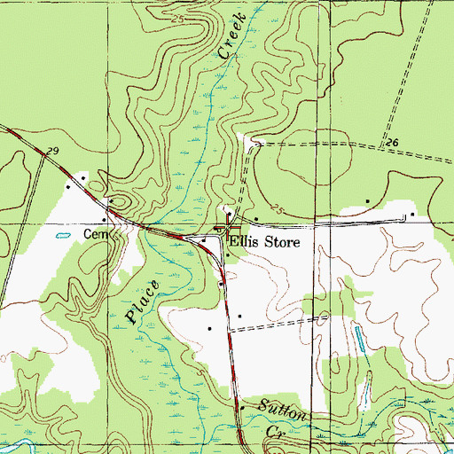 Topographic Map of Ellis Store, NC