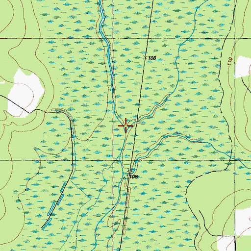 Topographic Map of Goodman Swamp, NC