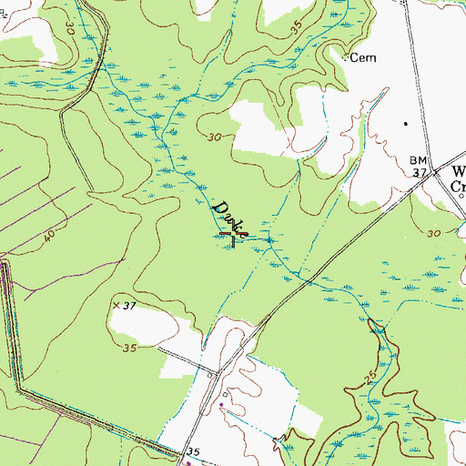 Topographic Map of Goodman Swamp, NC