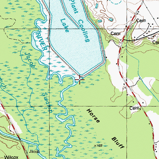 Topographic Map of Jacob Swamp, NC