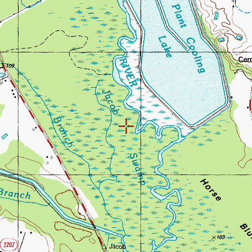 Topographic Map of Jacob Swamp, NC