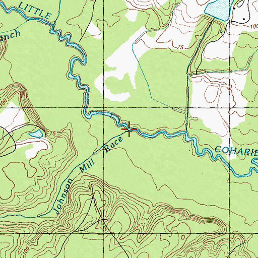Topographic Map of Johnson Mill Race, NC