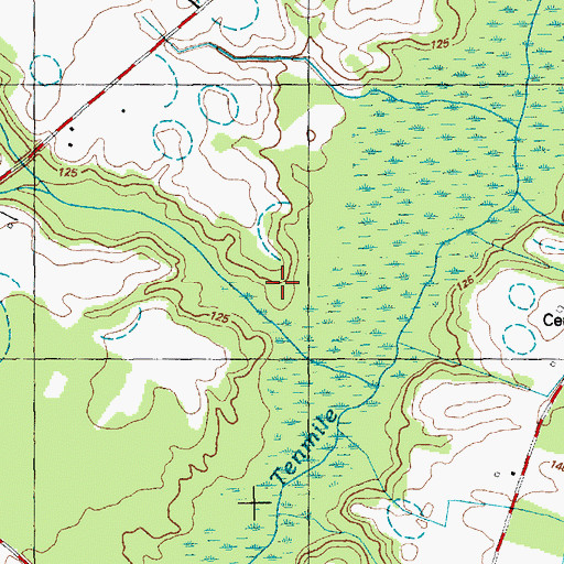 Topographic Map of Lees Branch, NC