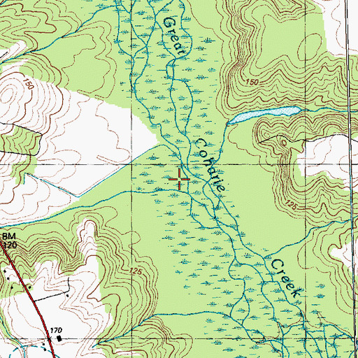 Topographic Map of Marsh Swamp, NC