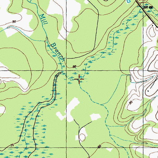 Topographic Map of Middle Swamp, NC