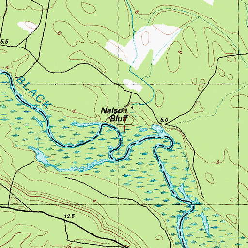 Topographic Map of Nelson Bluff, NC