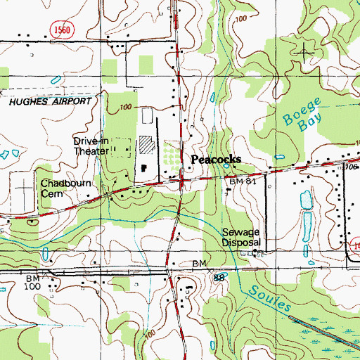 Topographic Map of Peacocks, NC