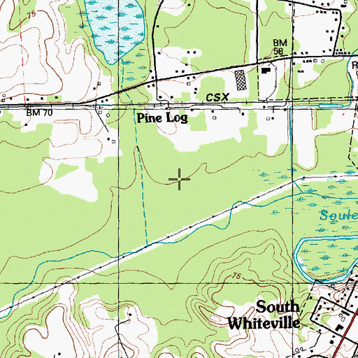 Topographic Map of Pine Log Branch, NC