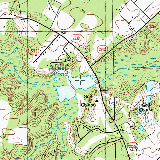 Topographic Map of Rainey Pond, NC