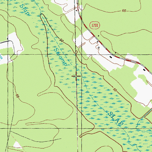 Topographic Map of Slap Swamp, NC