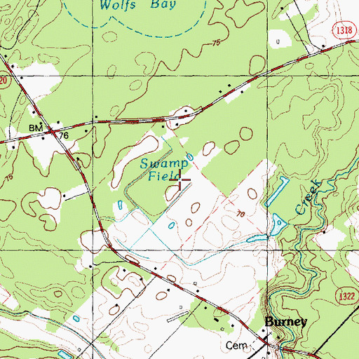 Topographic Map of Swamp Field, NC