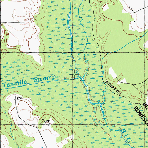 Topographic Map of Tenmile Swamp, NC