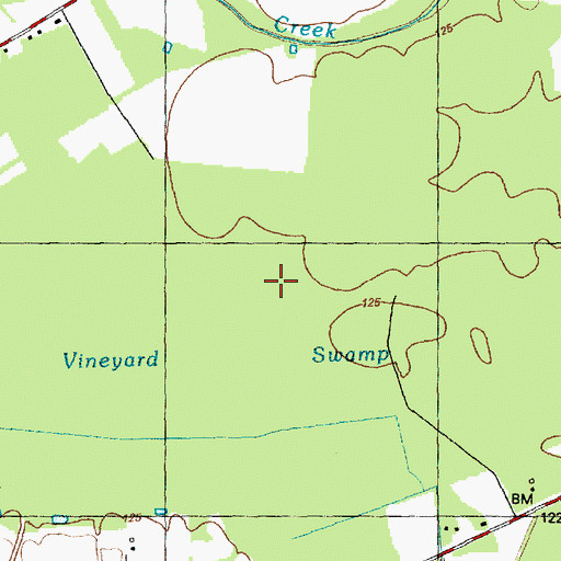 Topographic Map of Vineyard Swamp, NC