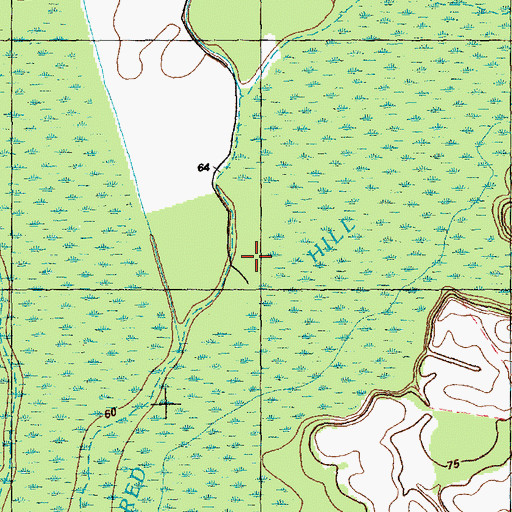 Topographic Map of Western Prong, NC