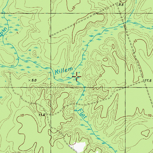 Topographic Map of Flat Swamp, NC
