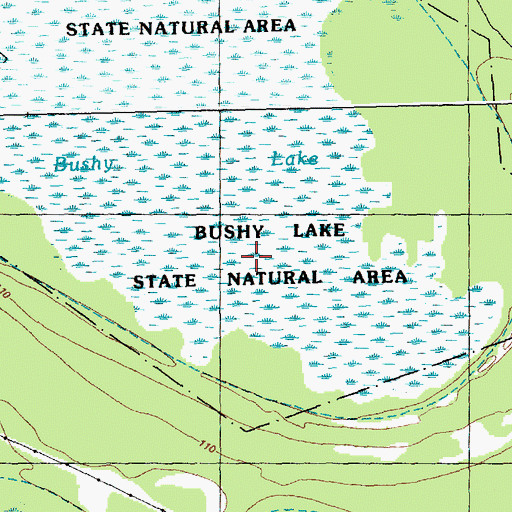 Topographic Map of Bushy Lake State Natural Area, NC