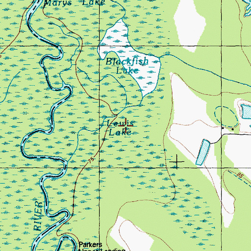 Topographic Map of Lewis Lake, NC