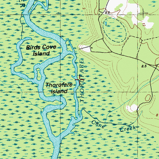 Topographic Map of Thorofare, NC