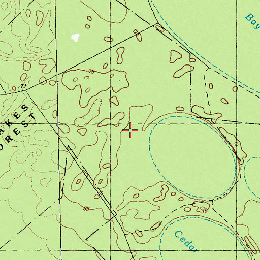 Topographic Map of Township of Central, NC