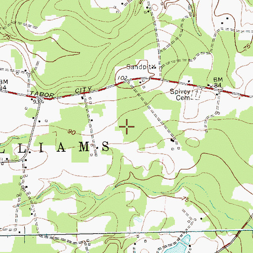 Topographic Map of Township of South Williams, NC