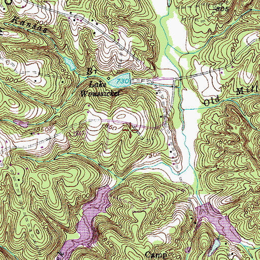 Topographic Map of Township of Salem Chapel, NC
