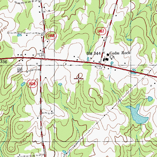 Topographic Map of Township of Cedar Rock, NC