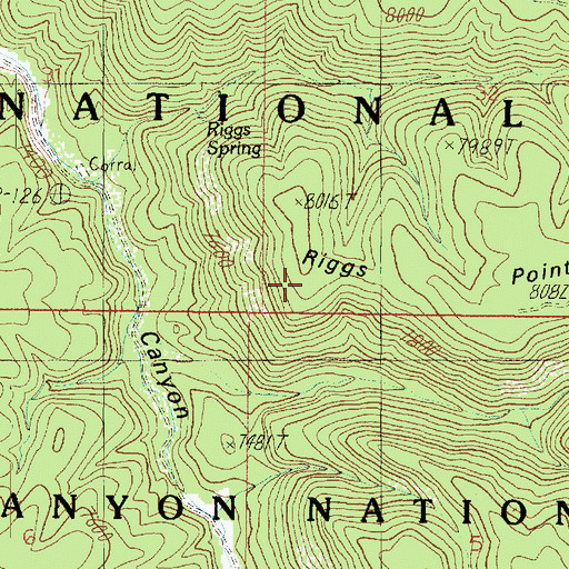 Topographic Map of Riggs Point, AZ