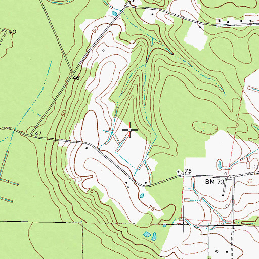 Topographic Map of Township of Reynoldson, NC