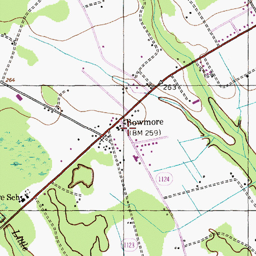 Topographic Map of Township of Blue Springs, NC