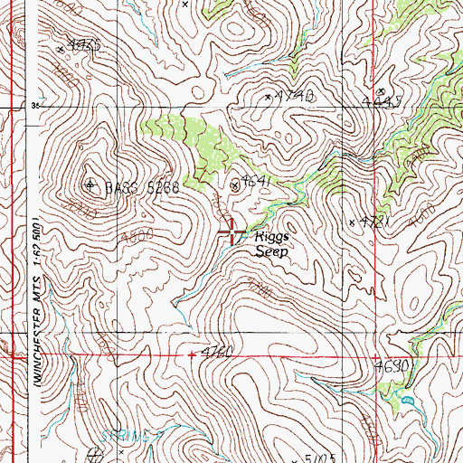 Topographic Map of Riggs Seep, AZ