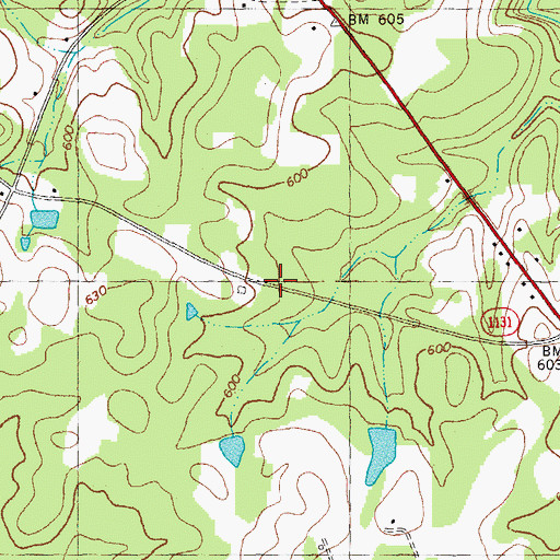 Topographic Map of Township of Flat River, NC