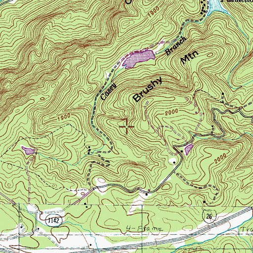 Topographic Map of Township of Saluda, NC