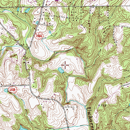 Topographic Map of Township of Trinity, NC