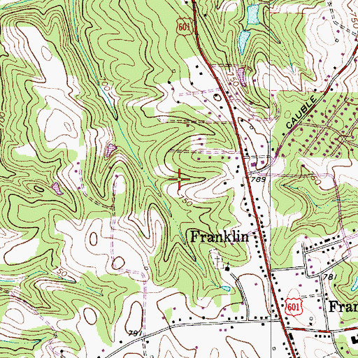 Topographic Map of Township of Franklin, NC