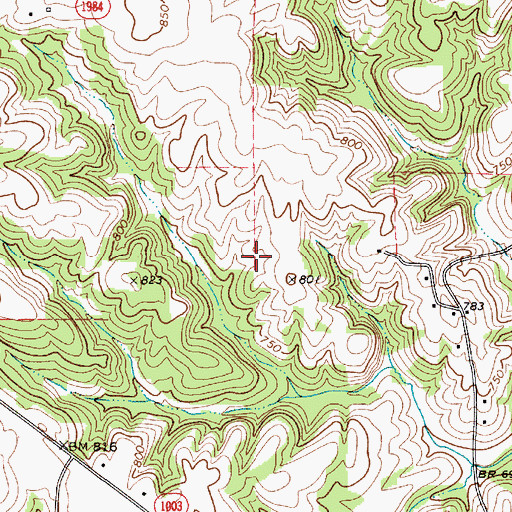 Topographic Map of Township of Scotch Irish, NC