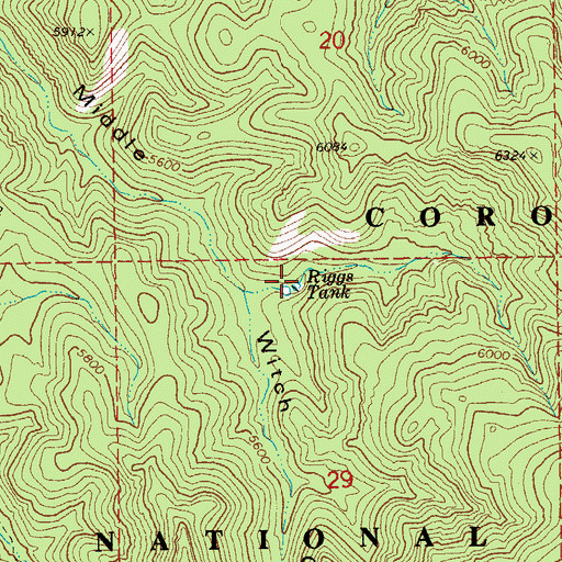 Topographic Map of Riggs Tank, AZ