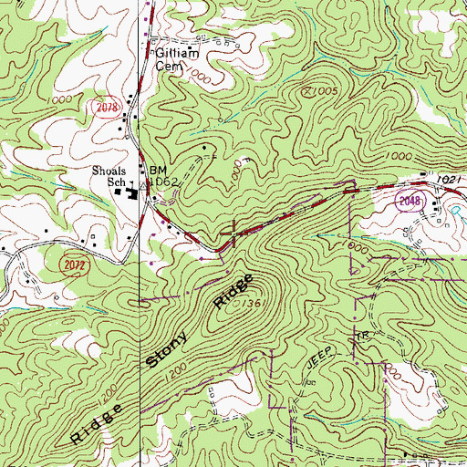 Topographic Map of Township of Shoals, NC