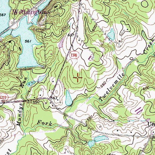 Topographic Map of Township of Sandy Ridge, NC