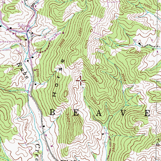 Topographic Map of Township of Beaverdam, NC
