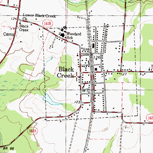 Topographic Map of Township of Black Creek, NC
