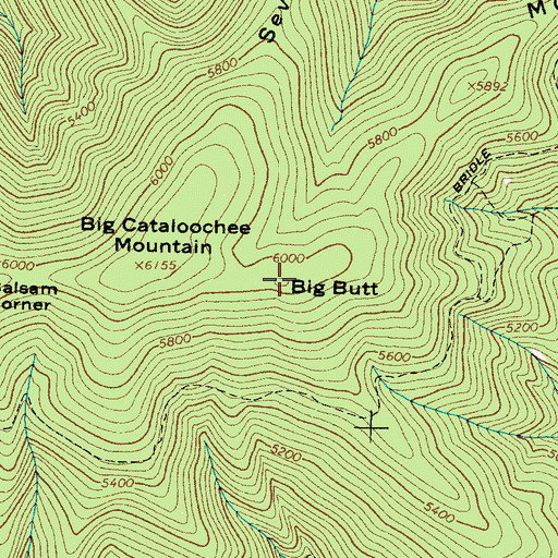 Topographic Map of Big Butt, NC