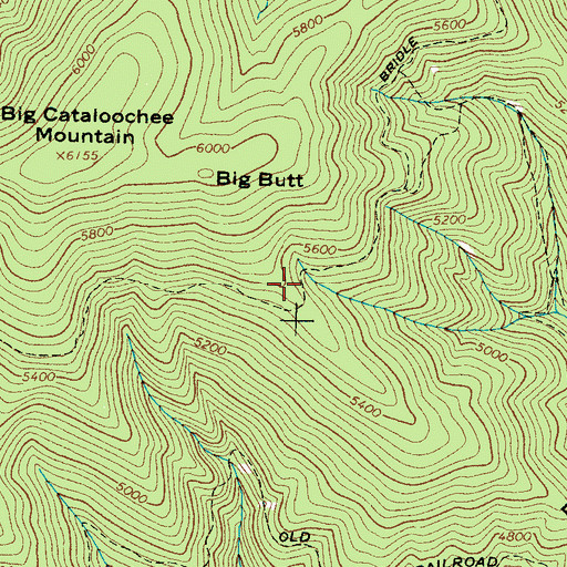 Topographic Map of Butt Mountain, NC