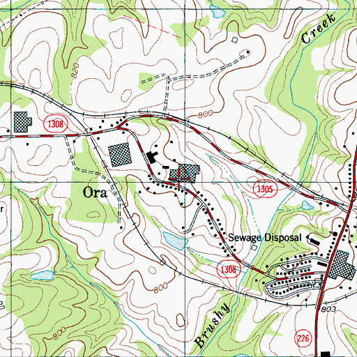 Topographic Map of Ora, NC
