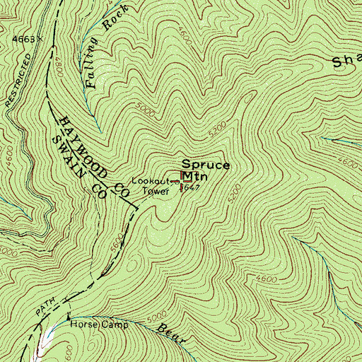 Topographic Map of Spruce Mountain, NC